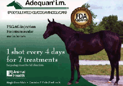 Adequan Equine 500mg / 5 mL (7 Vials)