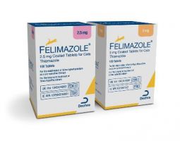 Felimazole 5 mg PER TABLET
