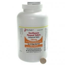 Enrofloxacin Flavor Tablets 136 mg PER TABLET
